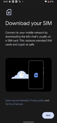 Download your SIM — tap Next
